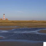 Cacing Laut Berpotensi Merevolusi