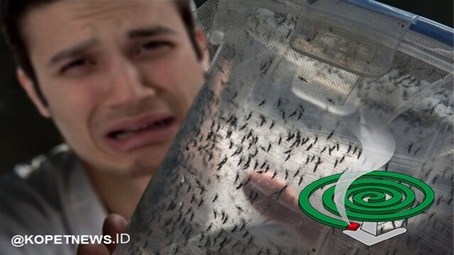 Nyamuk Peliharaan Milik Pak Dyrat Sakit, Langsung Mati Setelah Diberi Obat Nyamuk