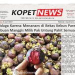 Diduga Karena Menanam