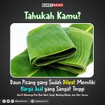 Daun Pisang