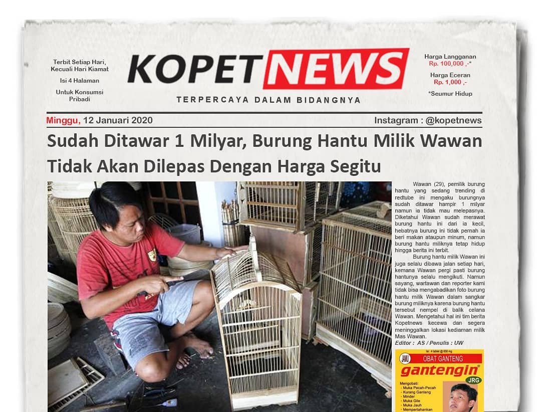 Sudah Ditawar 1 Miliyar, Burung Hantu Milik Wawan Tidak Akan Dilepas Dengan Harga Segitu