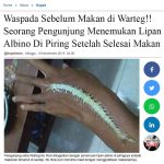 Waspada Sebelum Makan di Warteg!! Seorang Pengunjung Menemukan Lipan Albino Di Piring Setelah Selesai Makan