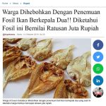 Warga Dihebohkan Dengan Penemuan Fosil Ikan Berkepala Dua!! Diketahui Fosil ini Bernilai Ratusan Juta Rupiah