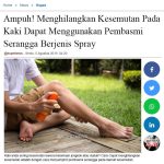 Ampuh! Menghilangkan Kesemutan Pada Kaki Dapat Menggunakan Pembasmi Serangga Berjenis Spray